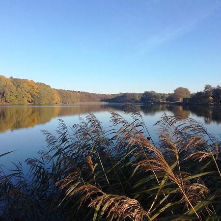 Warthe - Mitten In Der Natur Bagian luar foto